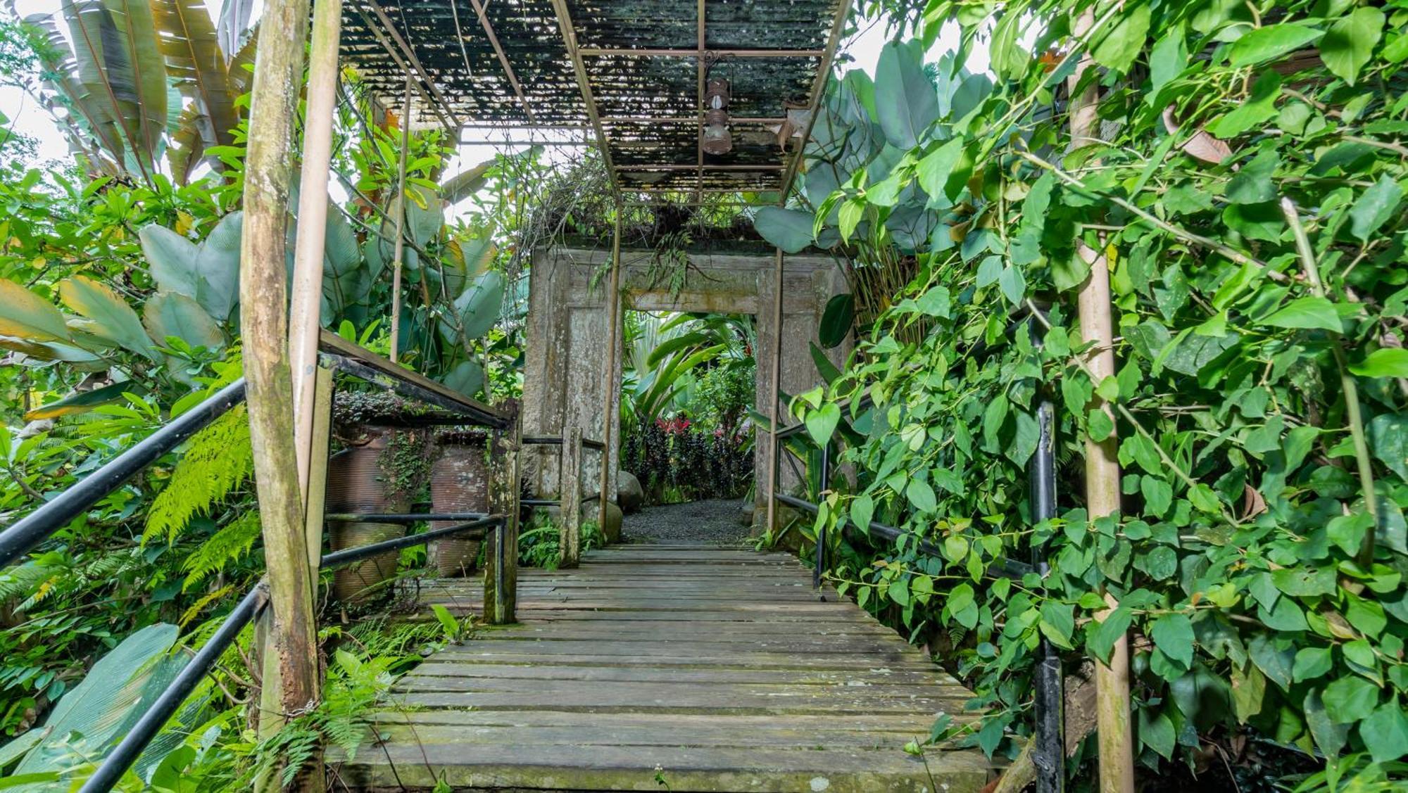 Villa Umah Tis Sebatu Tegallalang  Exterior foto