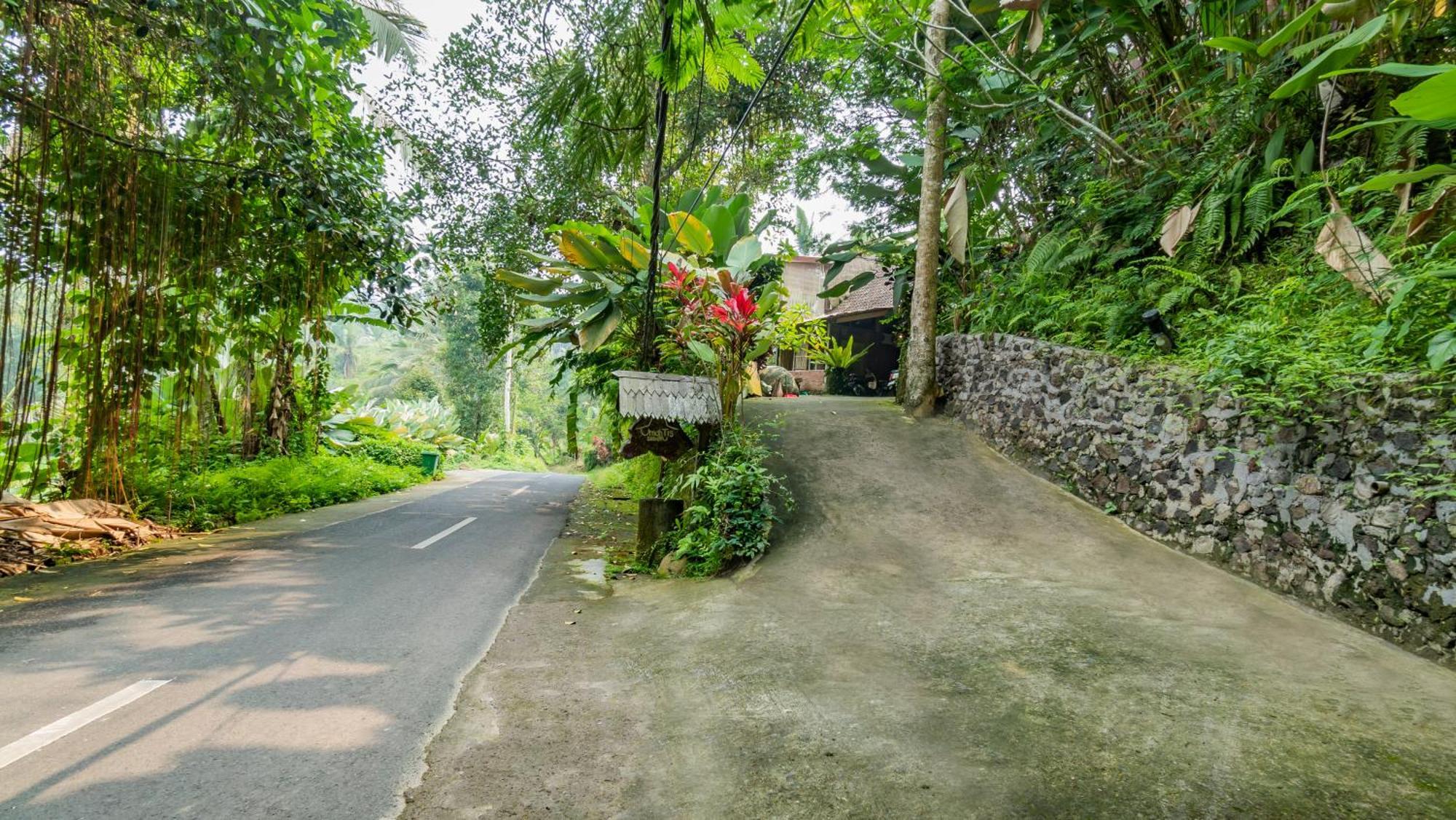 Villa Umah Tis Sebatu Tegallalang  Exterior foto
